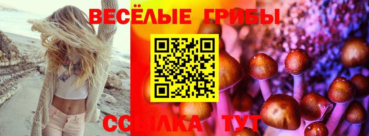 Кировск  Галлюциногенные грибы MAGIC MUSHROOMS  Вход с VPN 