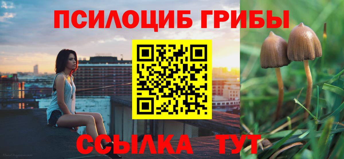 Псилоцибиновые грибы прущие грибы Кировск
